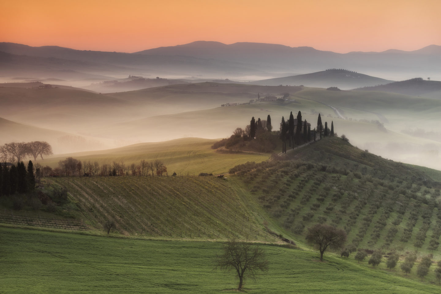 Toscana | Lumen