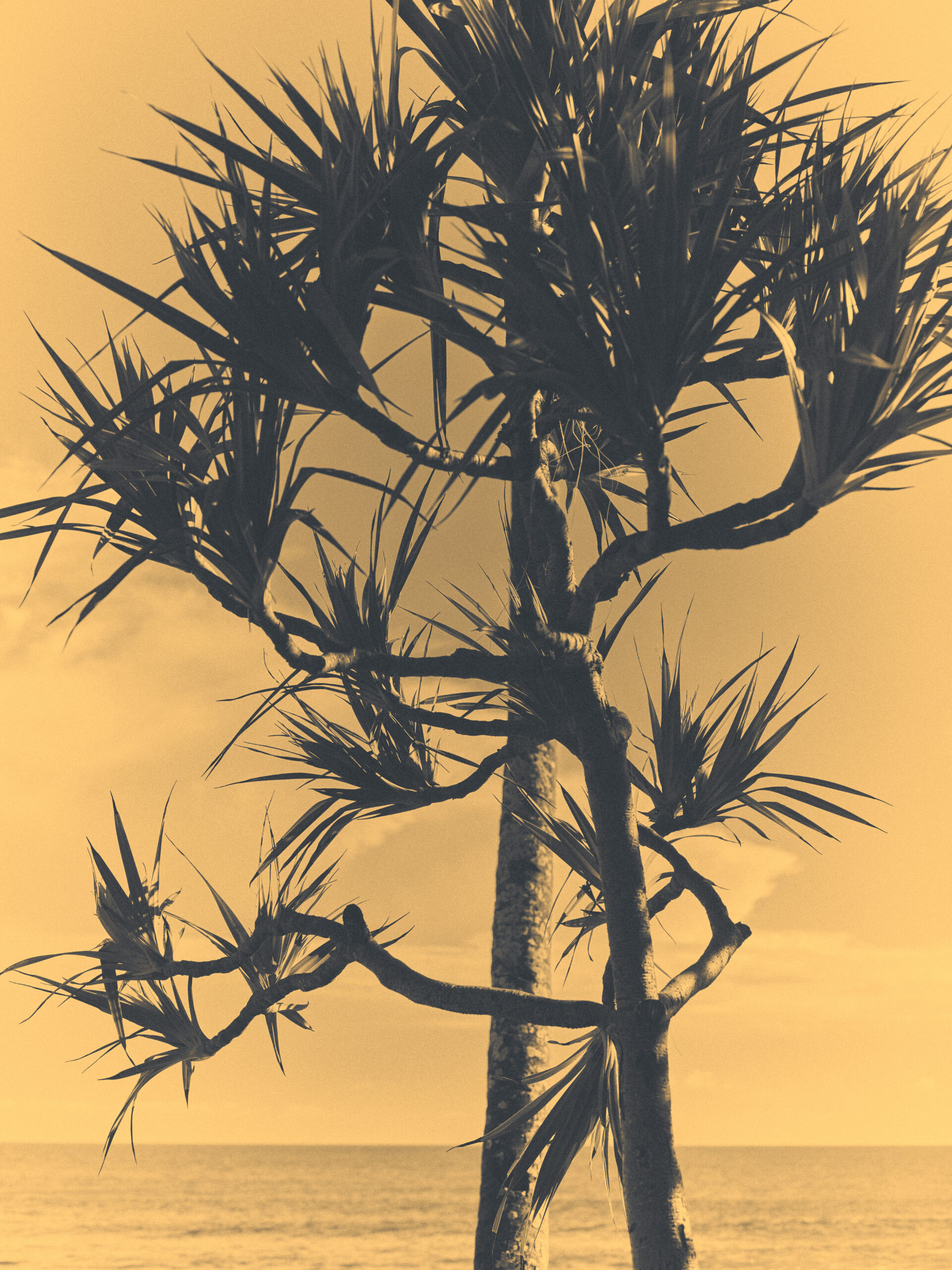 LP_RES25_Recce_01_064